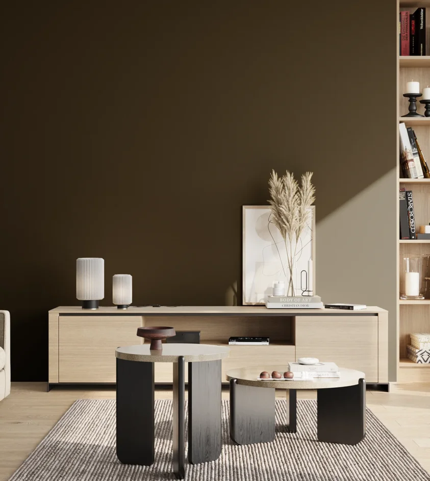 P10_SNIEZKA_salon_02_poludnie_GREY_S8505-Y