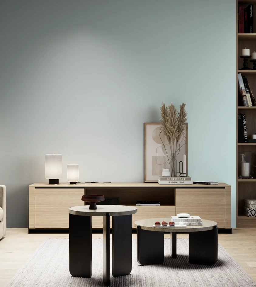 P10_SNIEZKA_salon_05_zimne_GREY_S0510-B30G