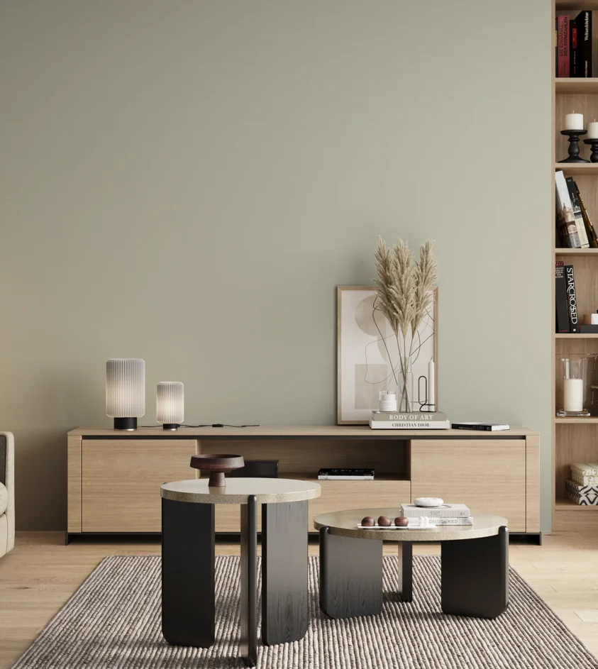 P10_SNIEZKA_salon_00_neutral_GREY_S1505-G50Y