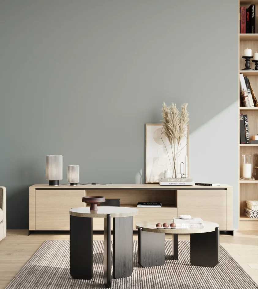 P10_SNIEZKA_salon_02_poludnie_GREY_S3005-B50G