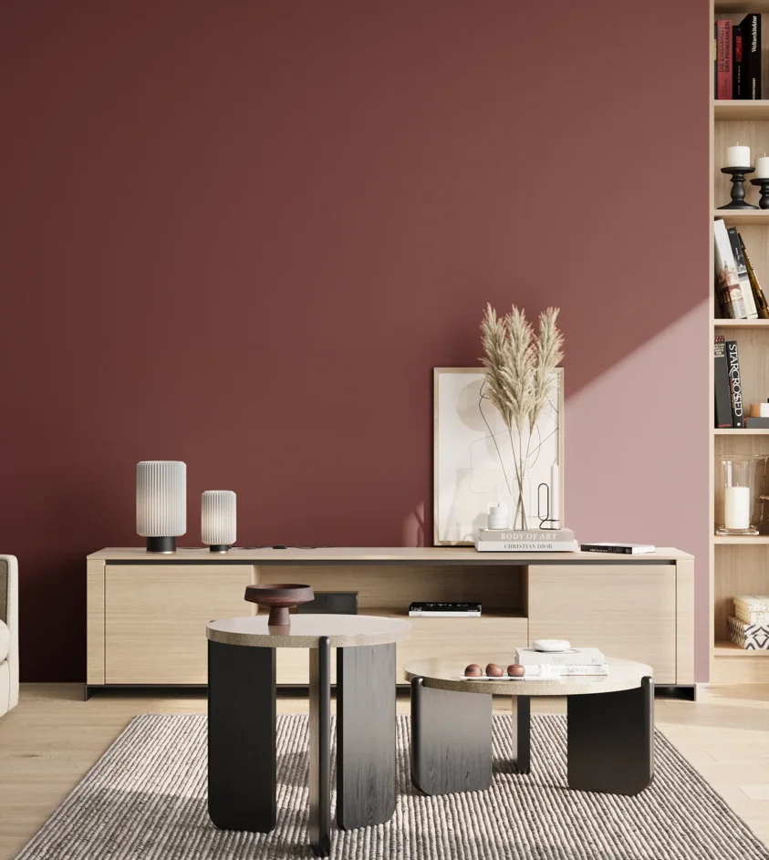 P10_SNIEZKA_salon_02_poludnie_GREY_RAL3004