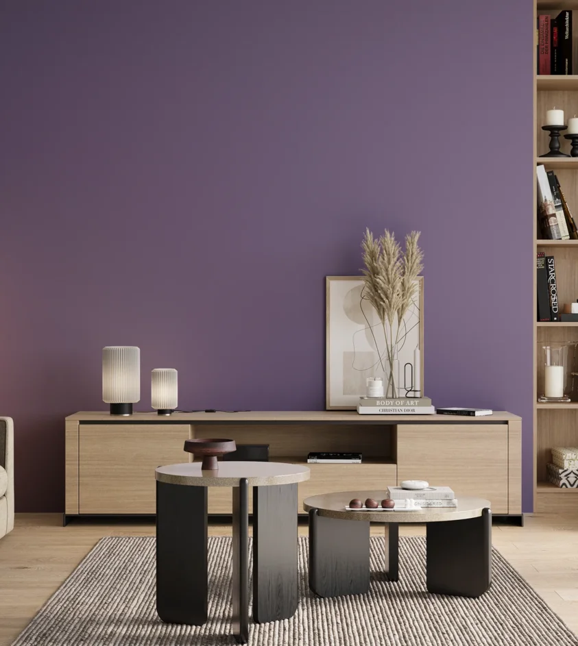 P10_SNIEZKA_salon_00_neutral_GREY_RAL4005