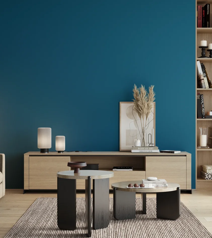 P10_SNIEZKA_salon_00_neutral_GREY_RAL5017