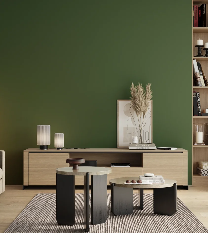 P10_SNIEZKA_salon_00_neutral_GREY_RAL6002