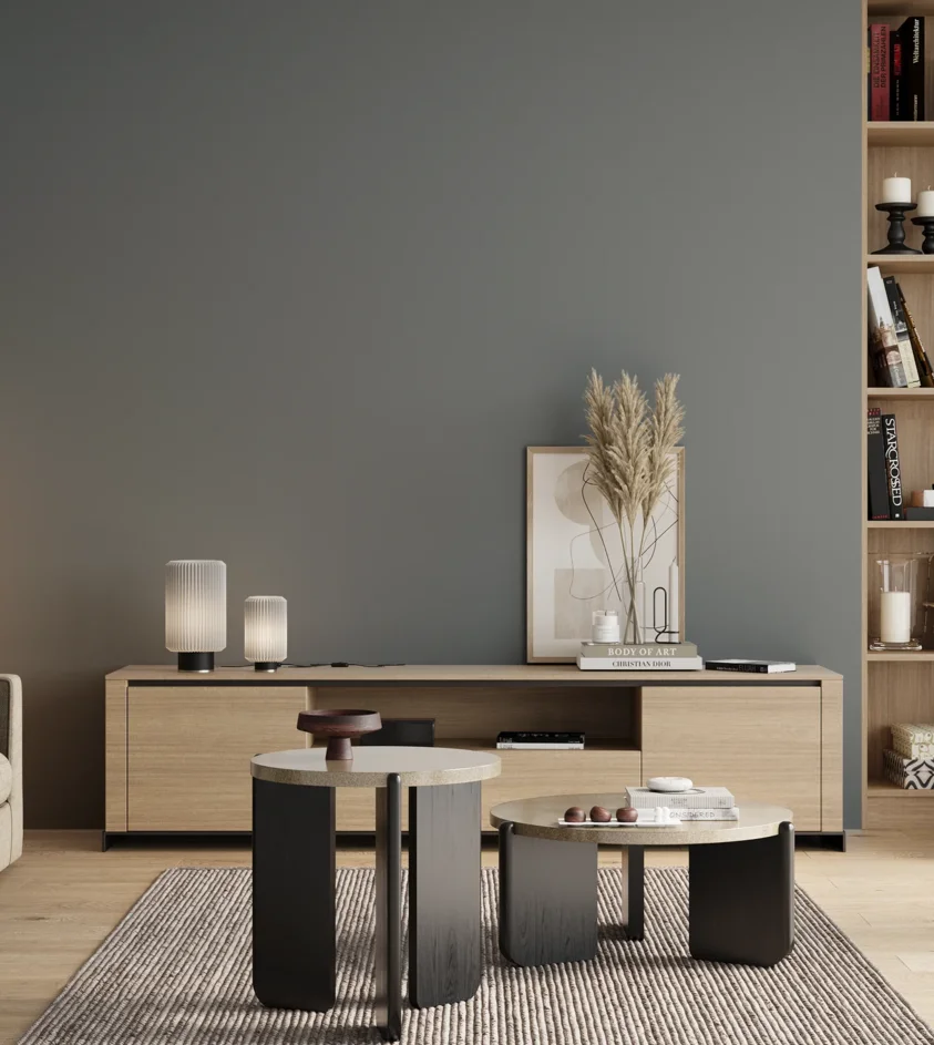 P10_SNIEZKA_salon_00_neutral_GREY_RAL7000