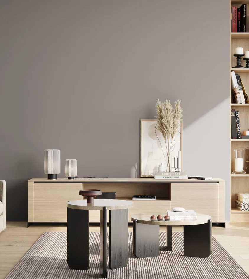 P10_SNIEZKA_salon_02_poludnie_GREY_RAL7004