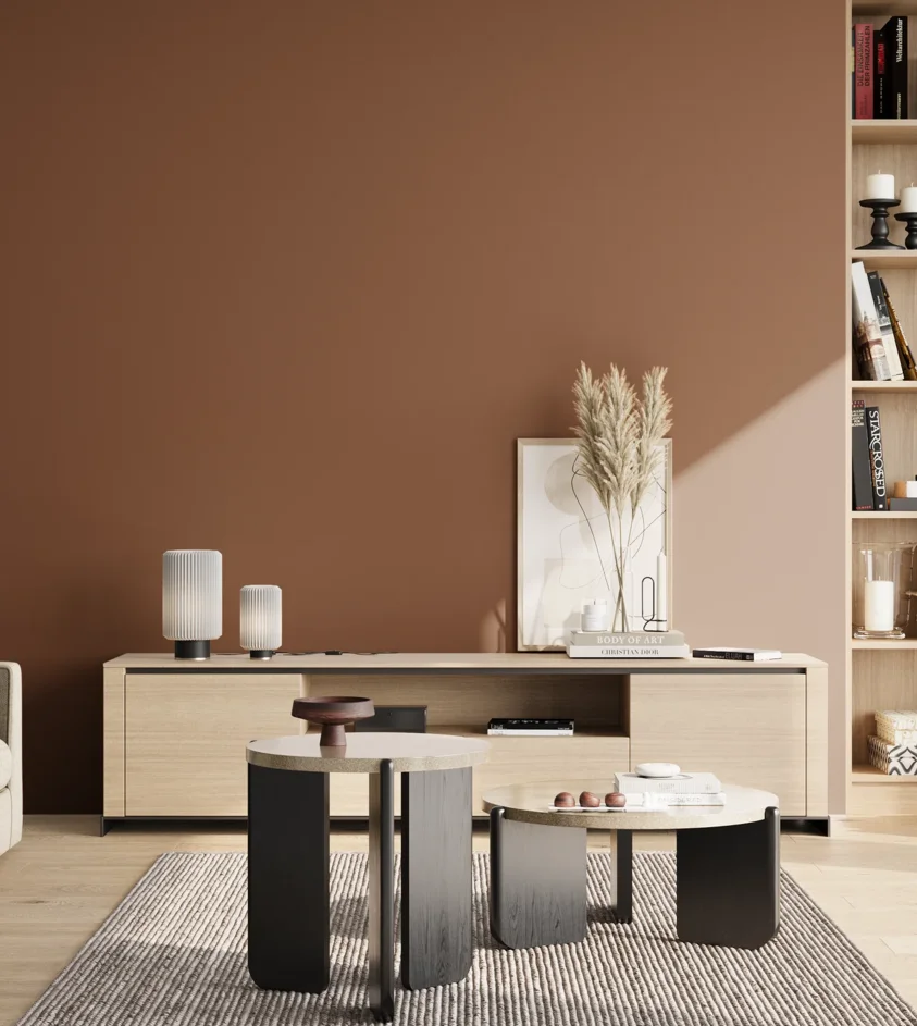 P10_SNIEZKA_salon_02_poludnie_GREY_RAL8003