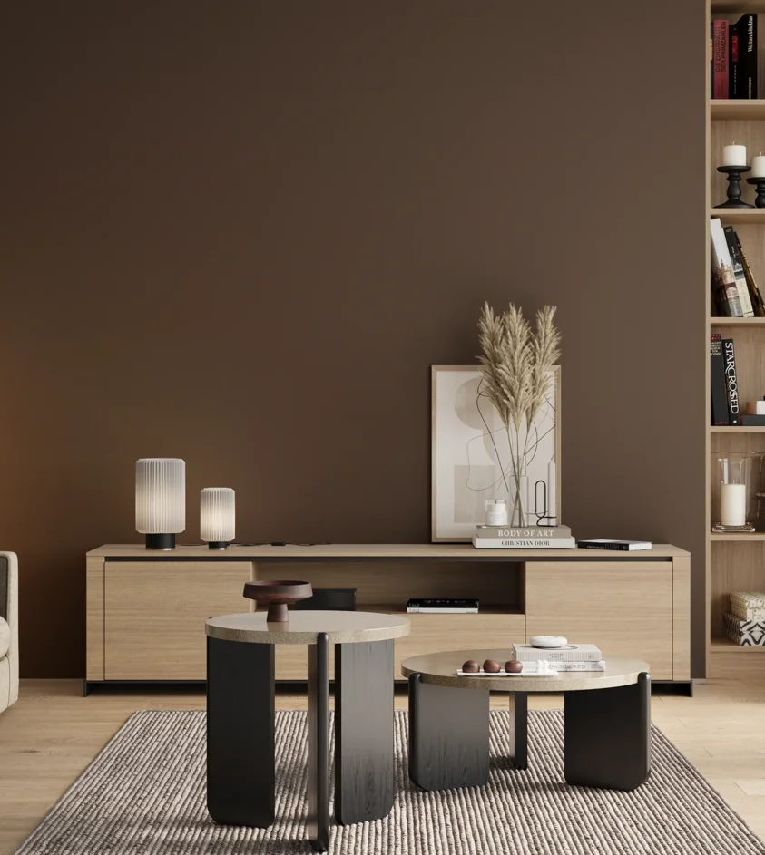 P10_SNIEZKA_salon_00_neutral_GREY_RAL8014