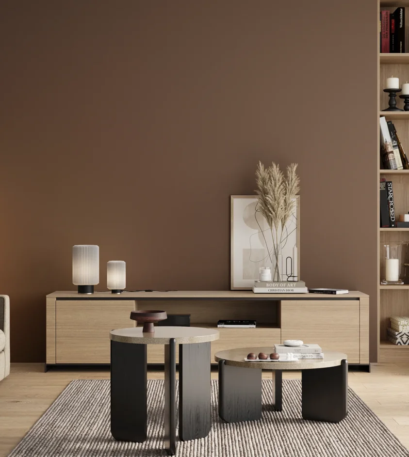 P10_SNIEZKA_salon_00_neutral_GREY_RAL8025