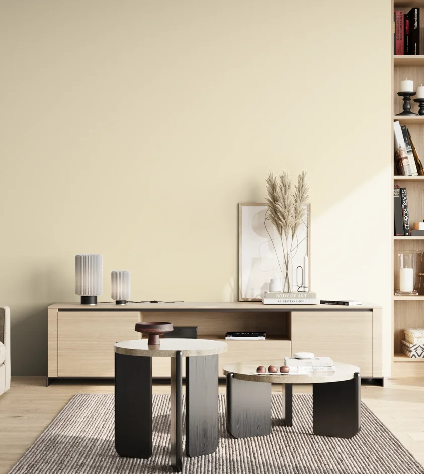 P10_SNIEZKA_salon_02_poludnie_GREY_C3