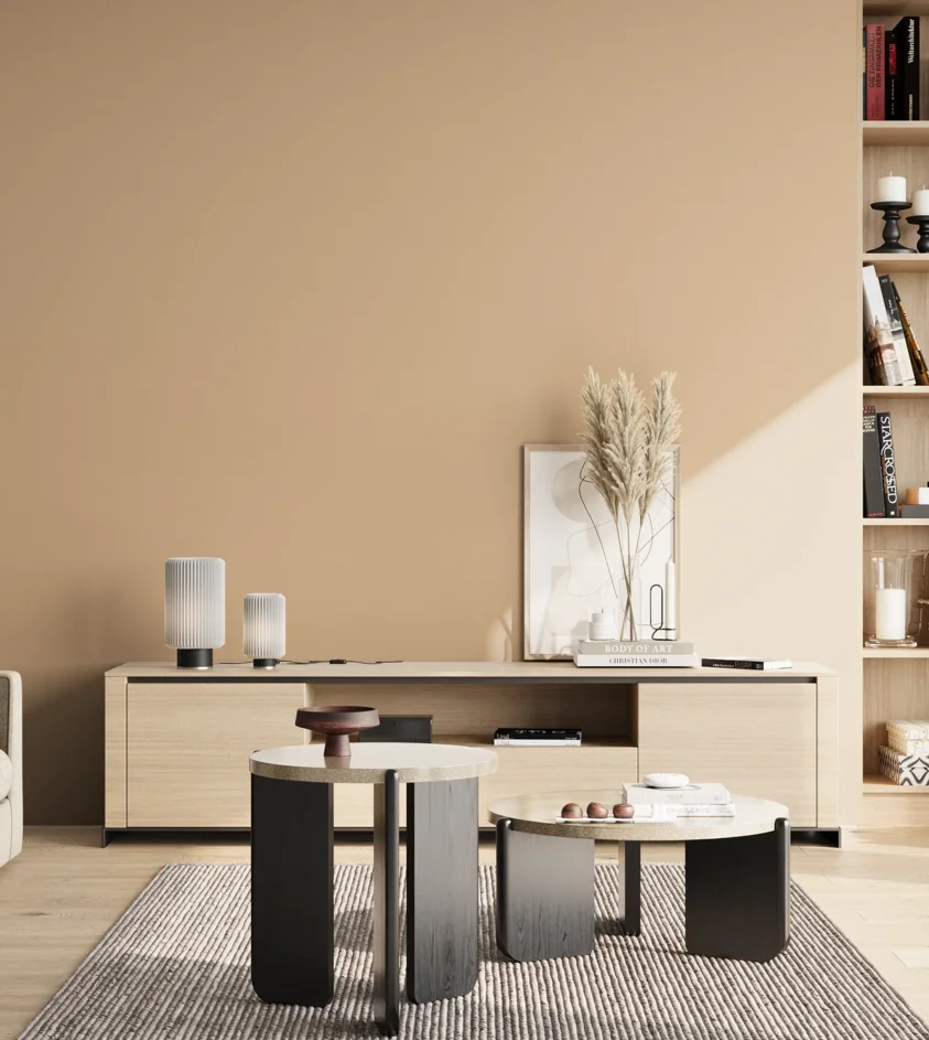 P10_SNIEZKA_salon_02_poludnie_GREY_C8