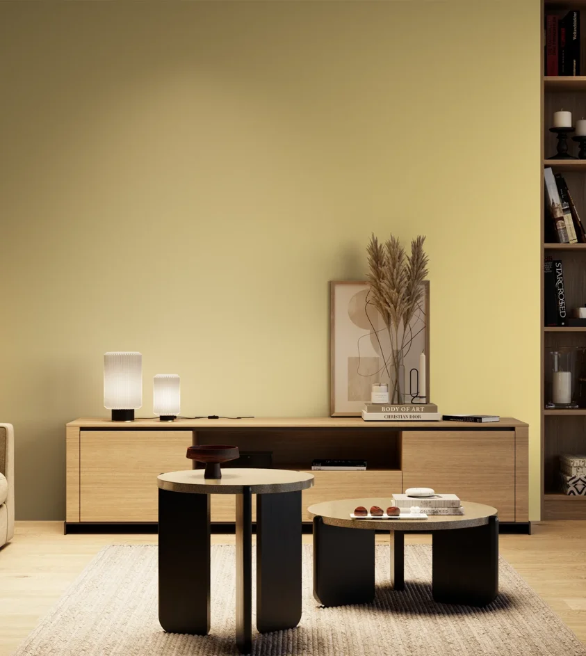 P10_SNIEZKA_salon_04_cieple_GREY_C51