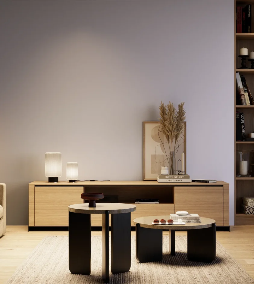 P10_SNIEZKA_salon_04_cieple_GREY_C65