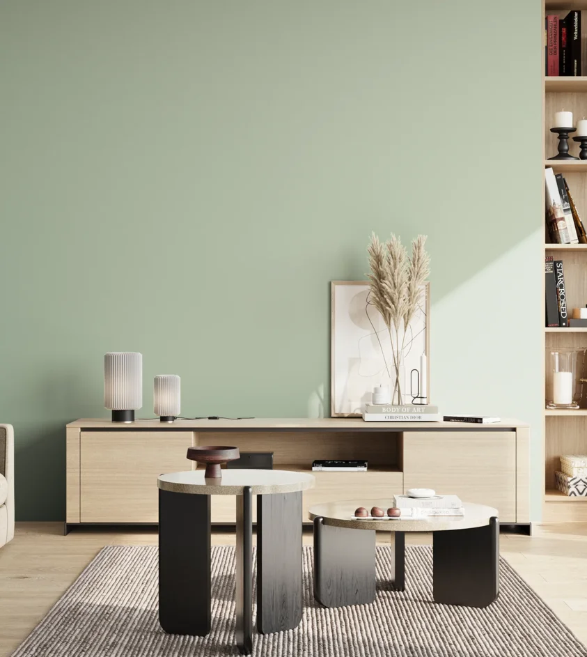 P10_SNIEZKA_salon_02_poludnie_GREY_C74