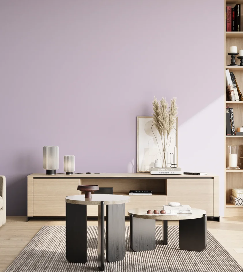 P10_SNIEZKA_salon_02_poludnie_GREY_MP54