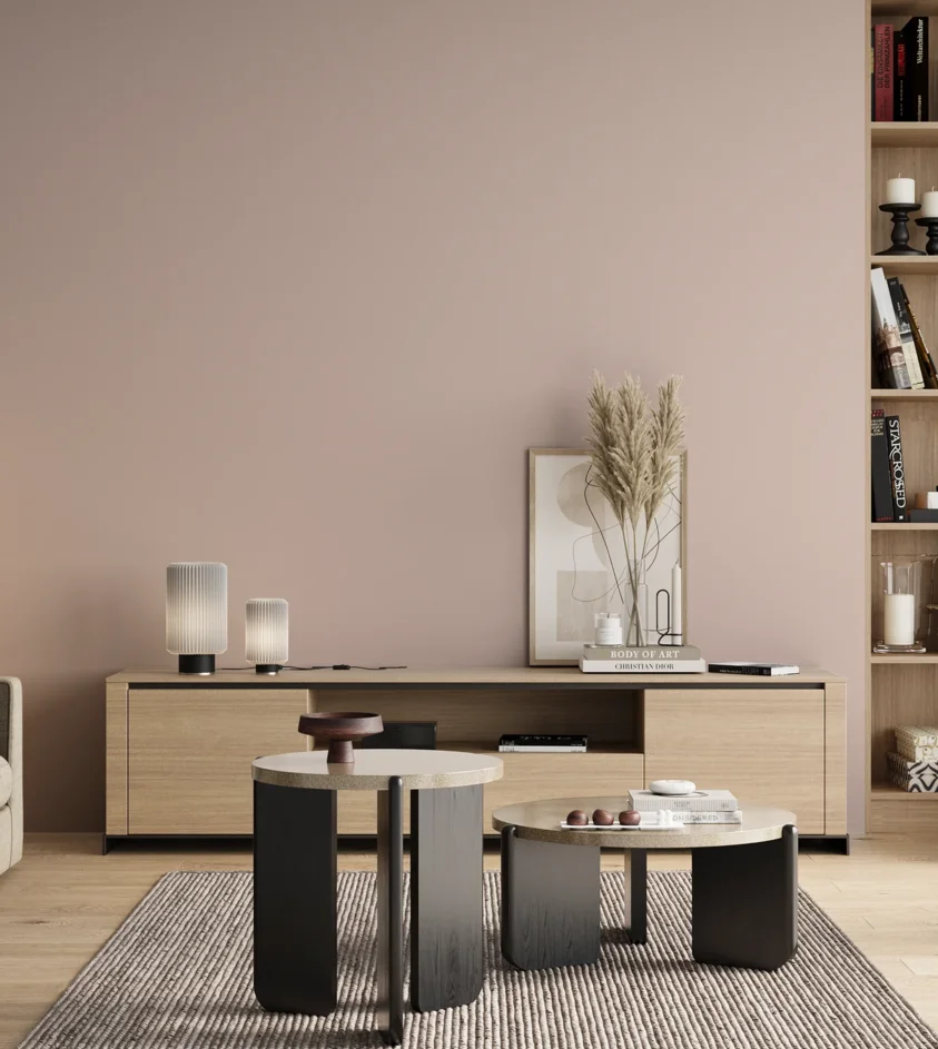 P10_SNIEZKA_salon_00_neutral_GREY_MP55