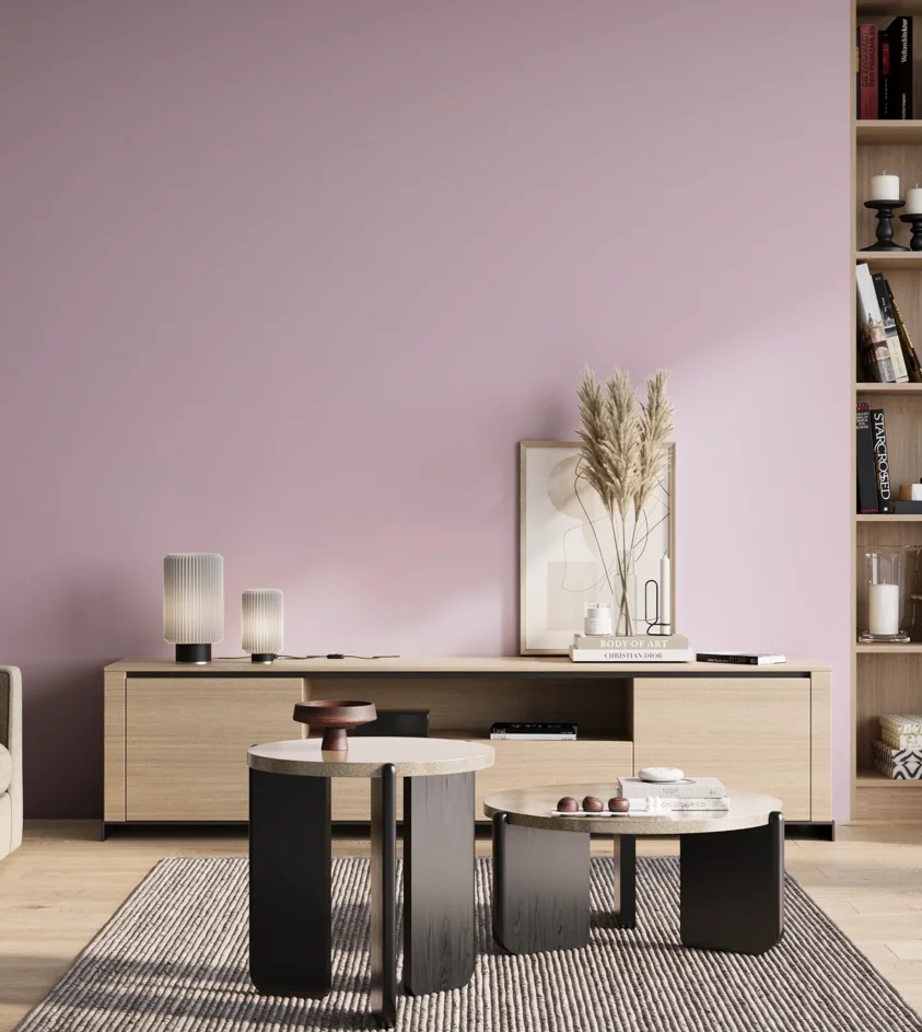 P10_SNIEZKA_salon_01_poranek_GREY_S0520-R40B