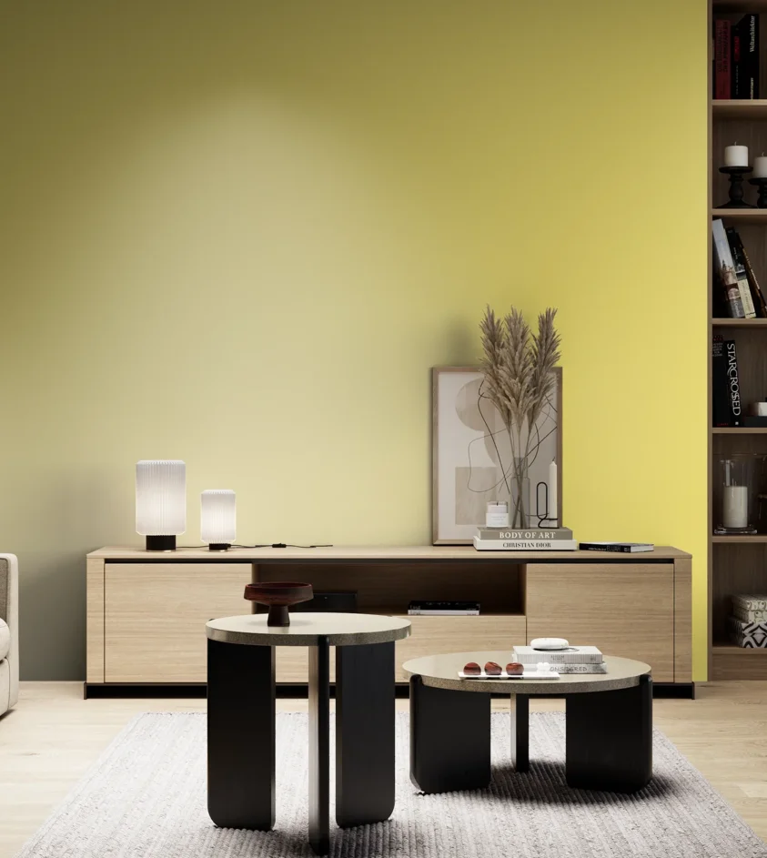 P10_SNIEZKA_salon_05_zimne_GREY_C16