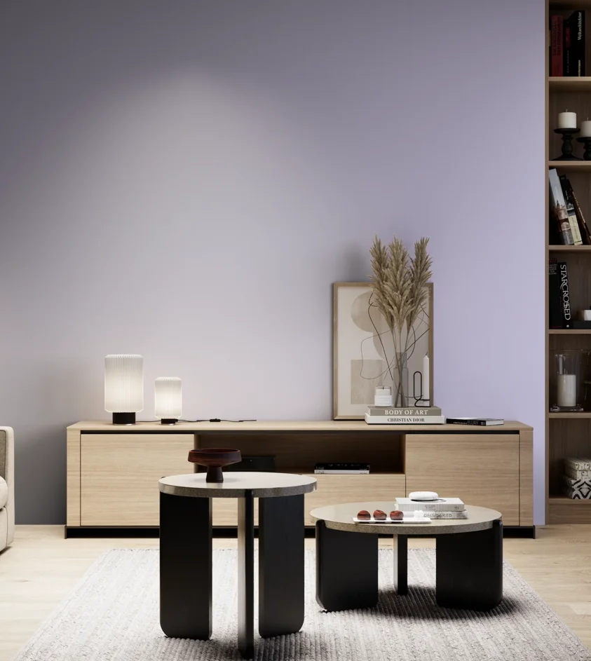 P10_SNIEZKA_salon_05_zimne_GREY_S0525-R60B