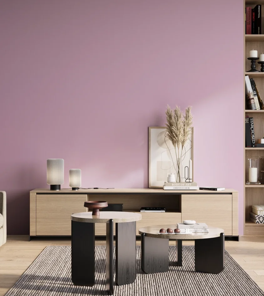 P10_SNIEZKA_salon_01_poranek_GREY_S0530-R40B