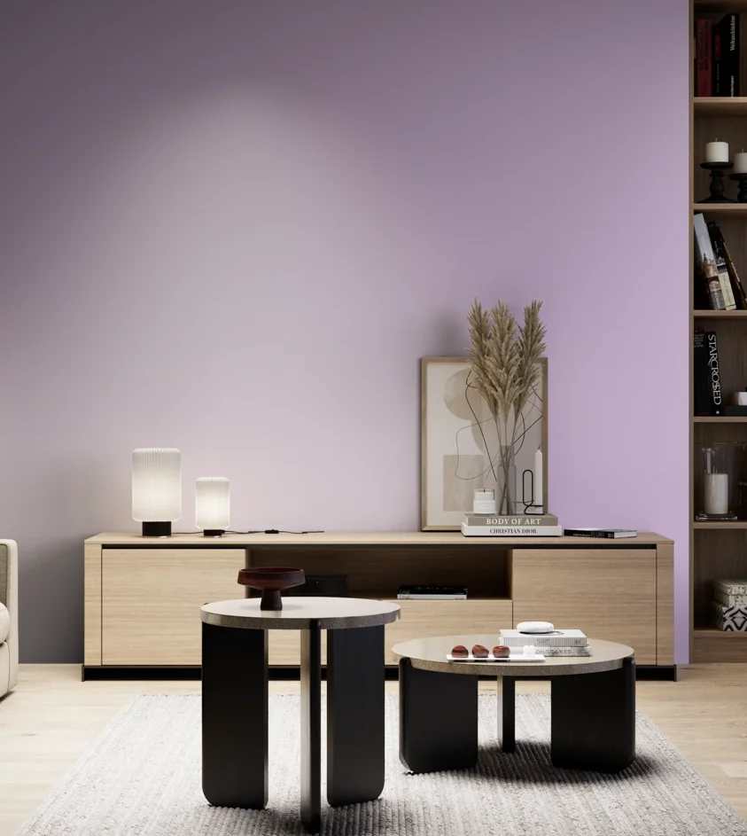 P10_SNIEZKA_salon_05_zimne_GREY_S0530-R50B