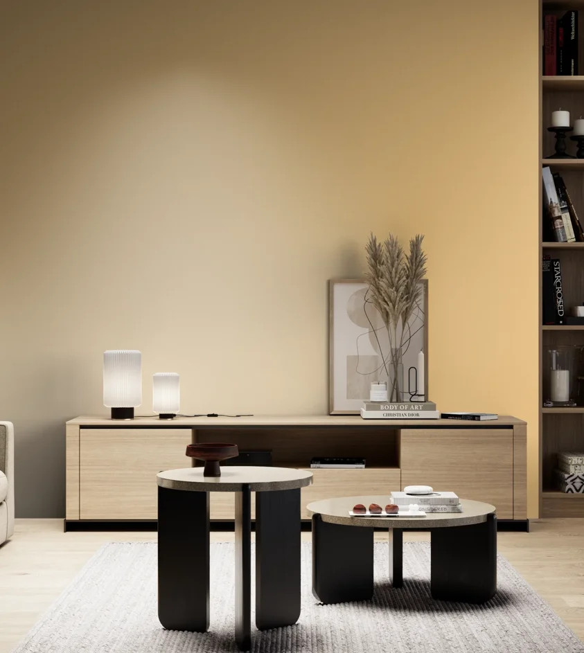 P10_SNIEZKA_salon_05_zimne_GREY_S0530-Y20R