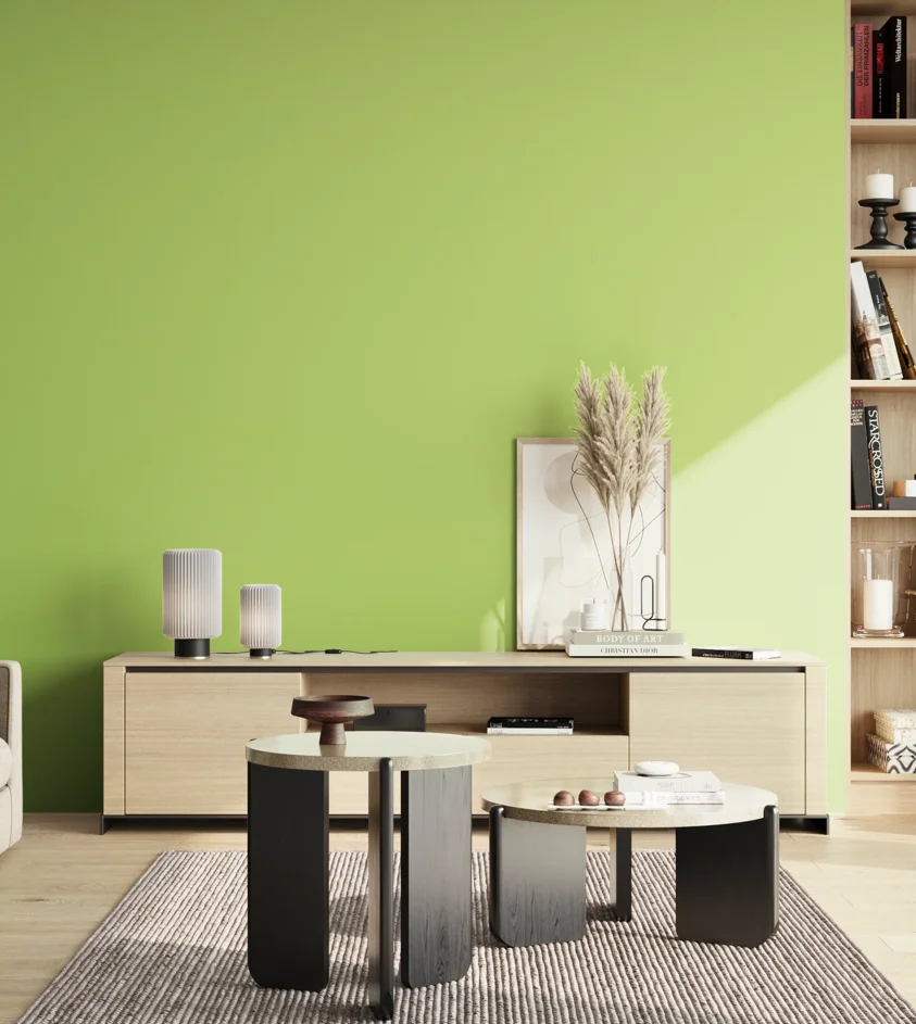 P10_SNIEZKA_salon_02_poludnie_GREY_S0550-G40Y