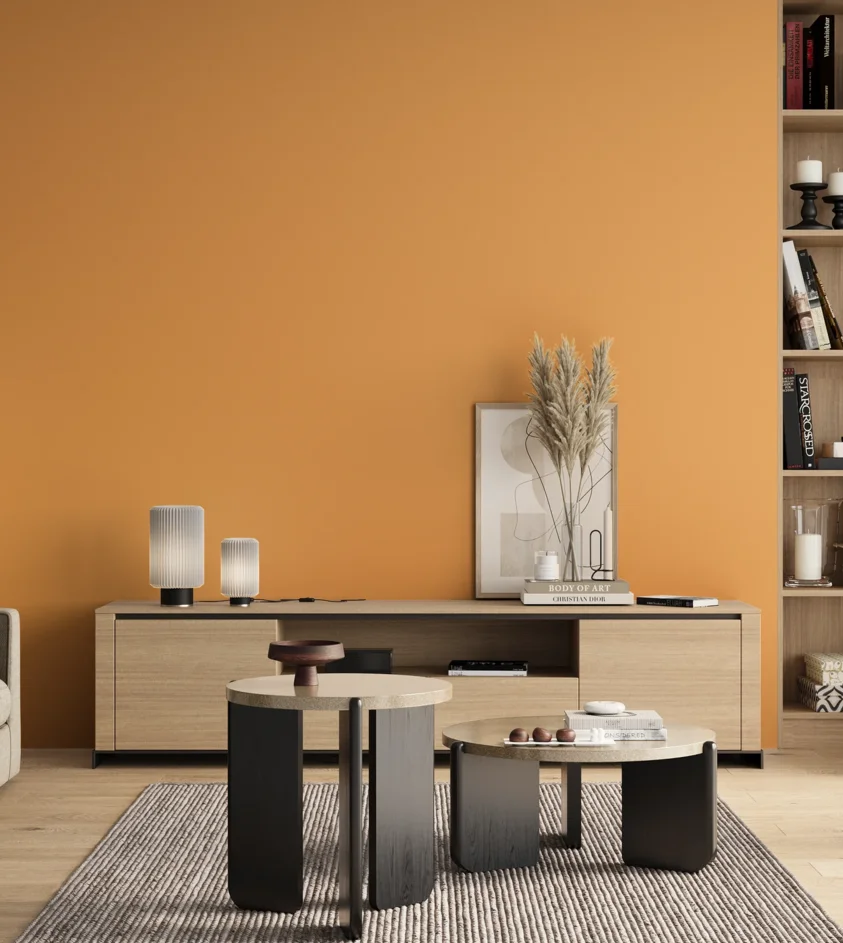 P10_SNIEZKA_salon_00_neutral_GREY_S0550-Y30R