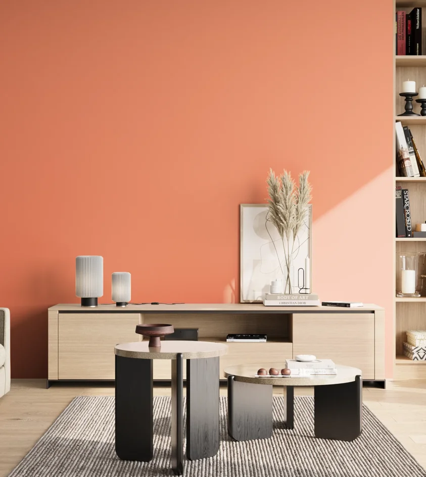 P10_SNIEZKA_salon_02_poludnie_GREY_S0550-Y70R