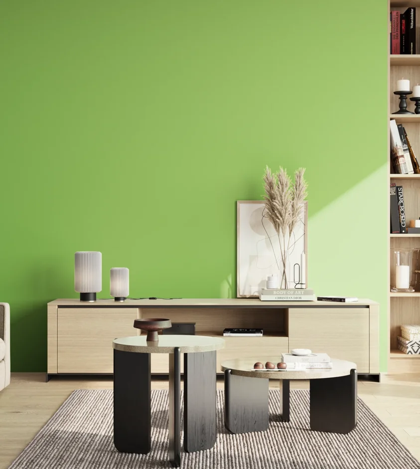 P10_SNIEZKA_salon_02_poludnie_GREY_S0560-G30Y