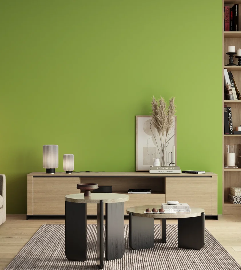P10_SNIEZKA_salon_00_neutral_GREY_S0560-G40Y