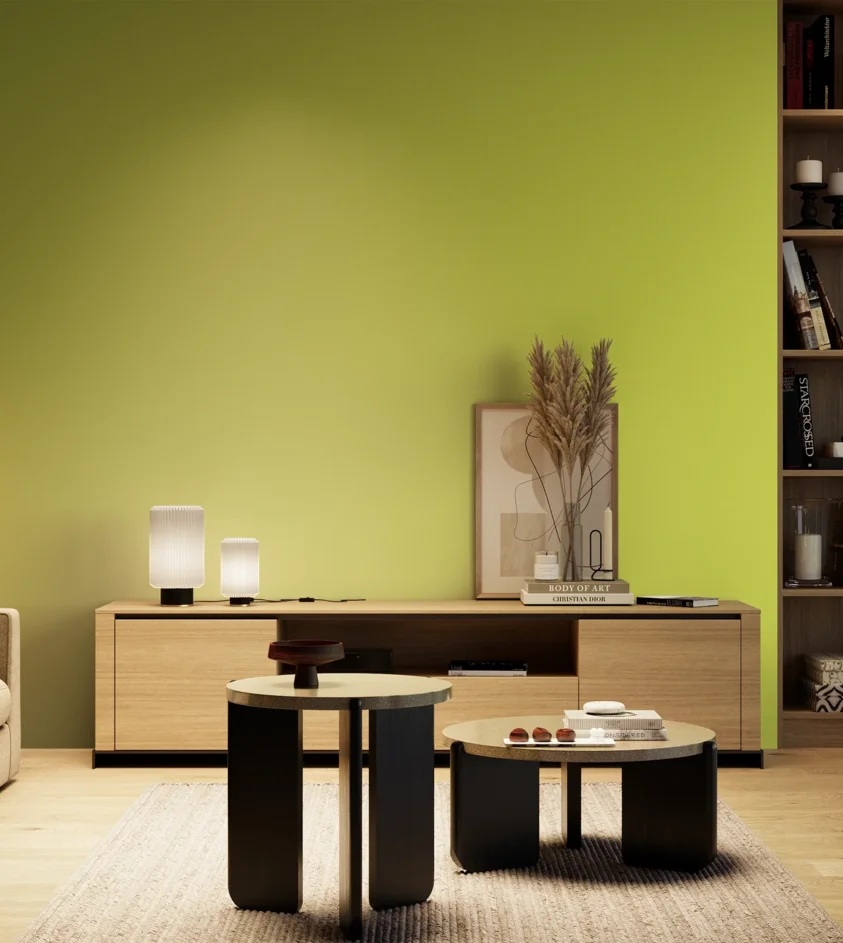 P10_SNIEZKA_salon_04_cieple_GREY_S0560-G60Y