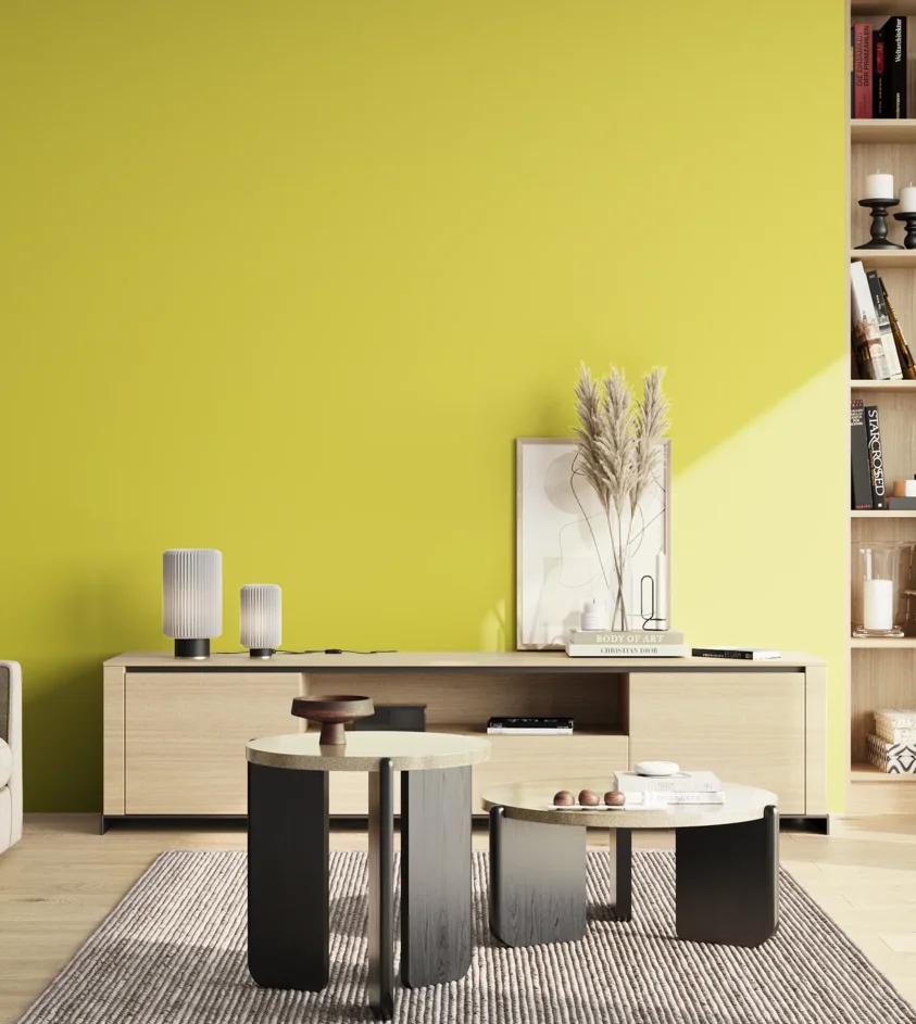 P10_SNIEZKA_salon_02_poludnie_GREY_S0560-G80Y