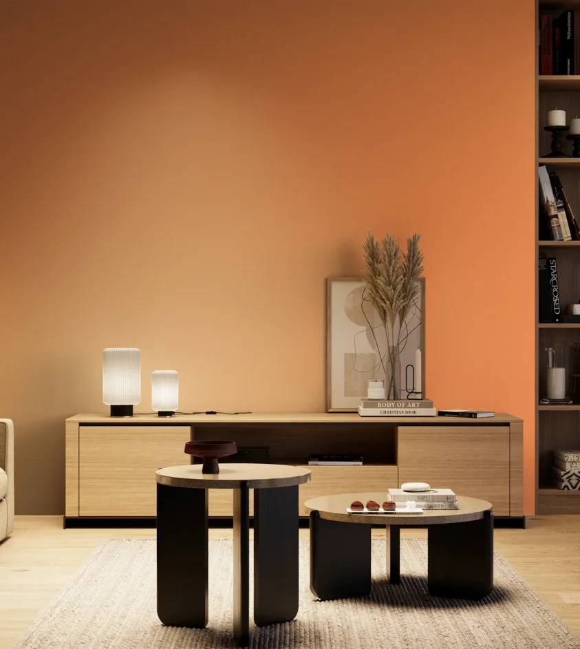 P10_SNIEZKA_salon_04_cieple_GREY_S0560-Y50R