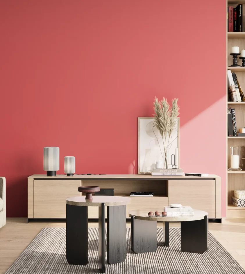 P10_SNIEZKA_salon_02_poludnie_GREY_S0565-R