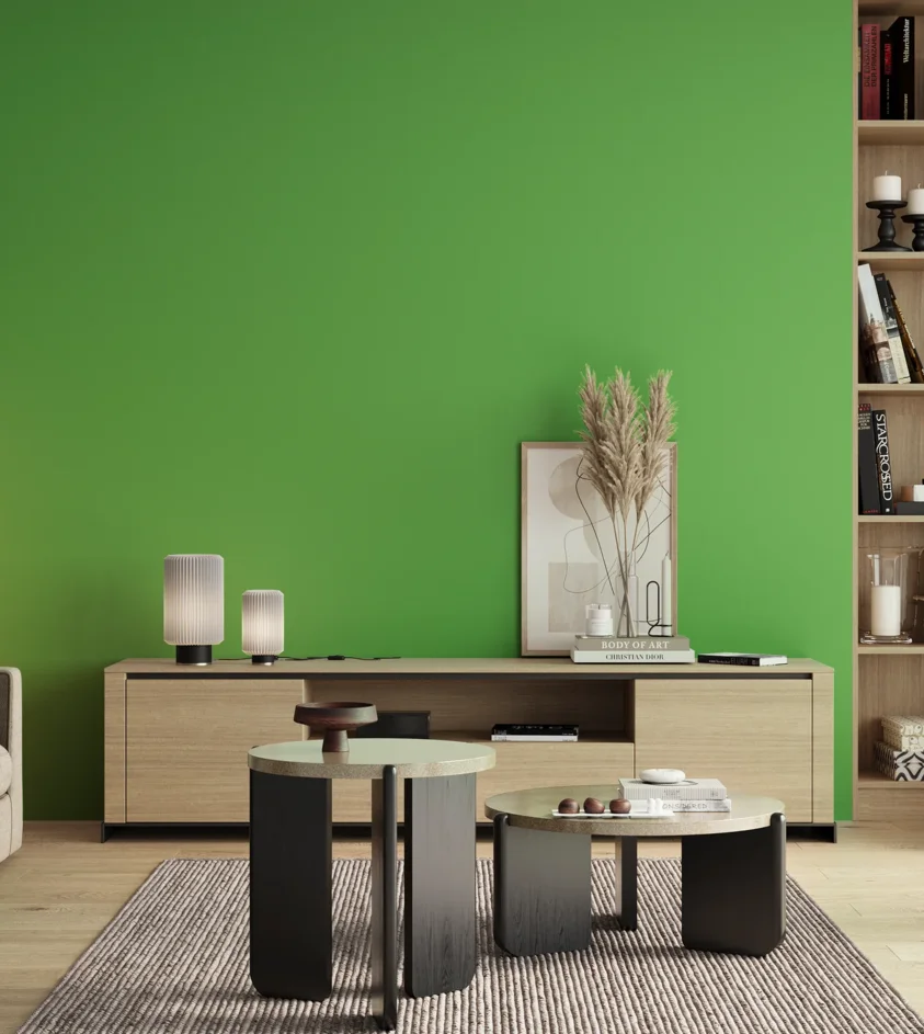 P10_SNIEZKA_salon_00_neutral_GREY_S0570-G20Y