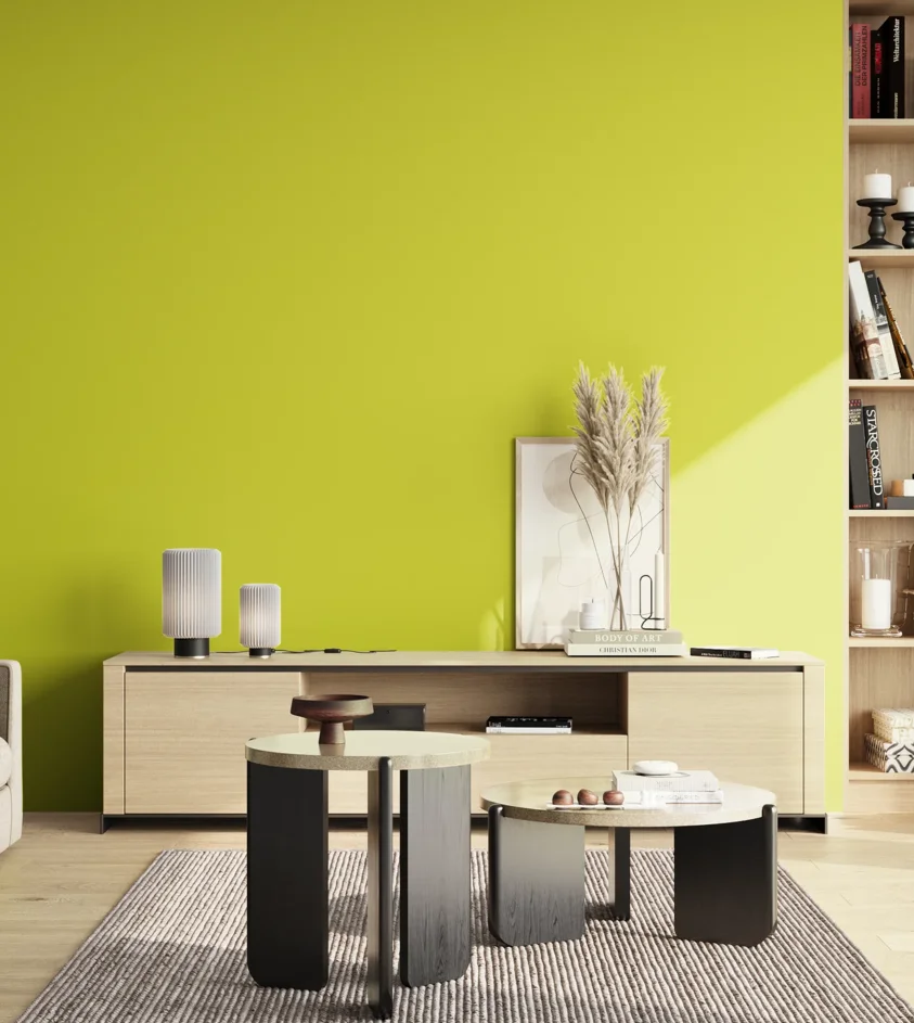 P10_SNIEZKA_salon_02_poludnie_GREY_S0570-G70Y