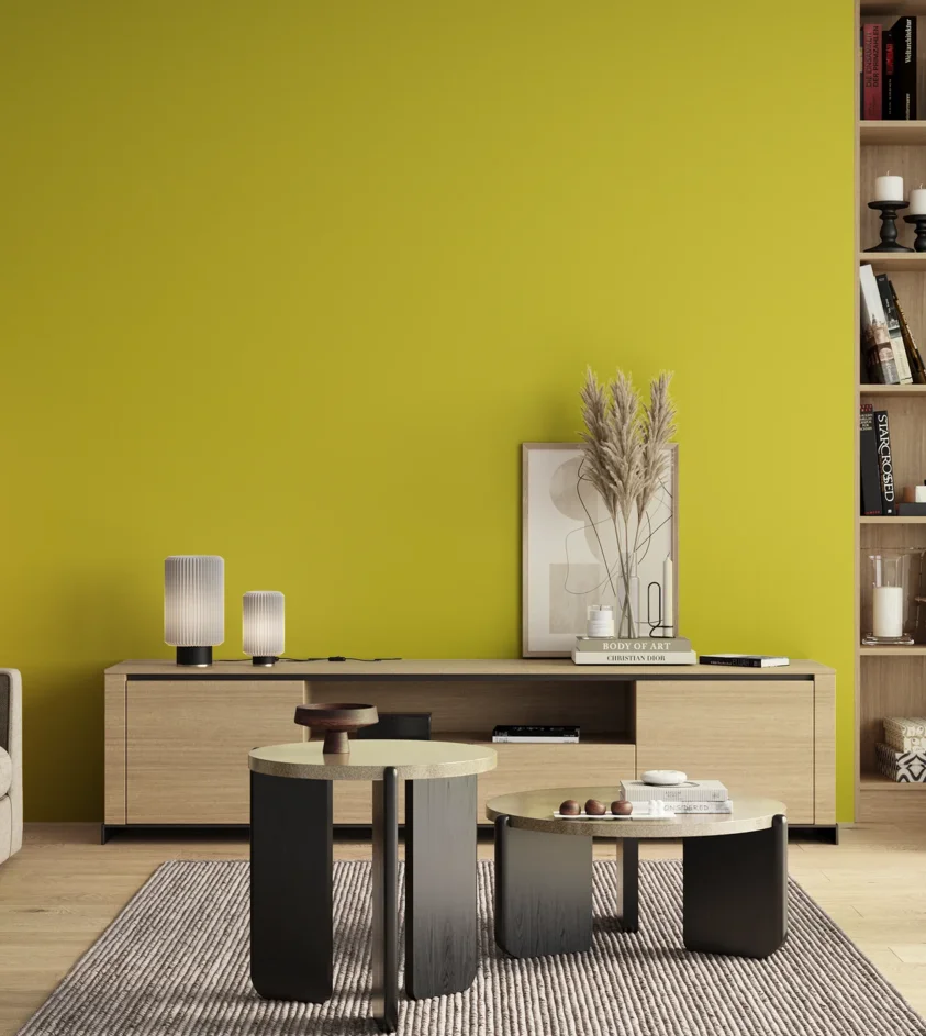 P10_SNIEZKA_salon_00_neutral_GREY_S0570-G80Y
