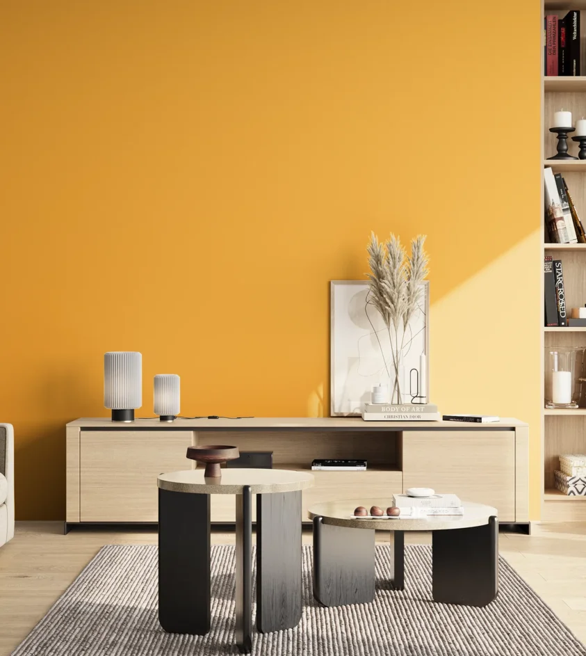 P10_SNIEZKA_salon_02_poludnie_GREY_S0570-Y20R
