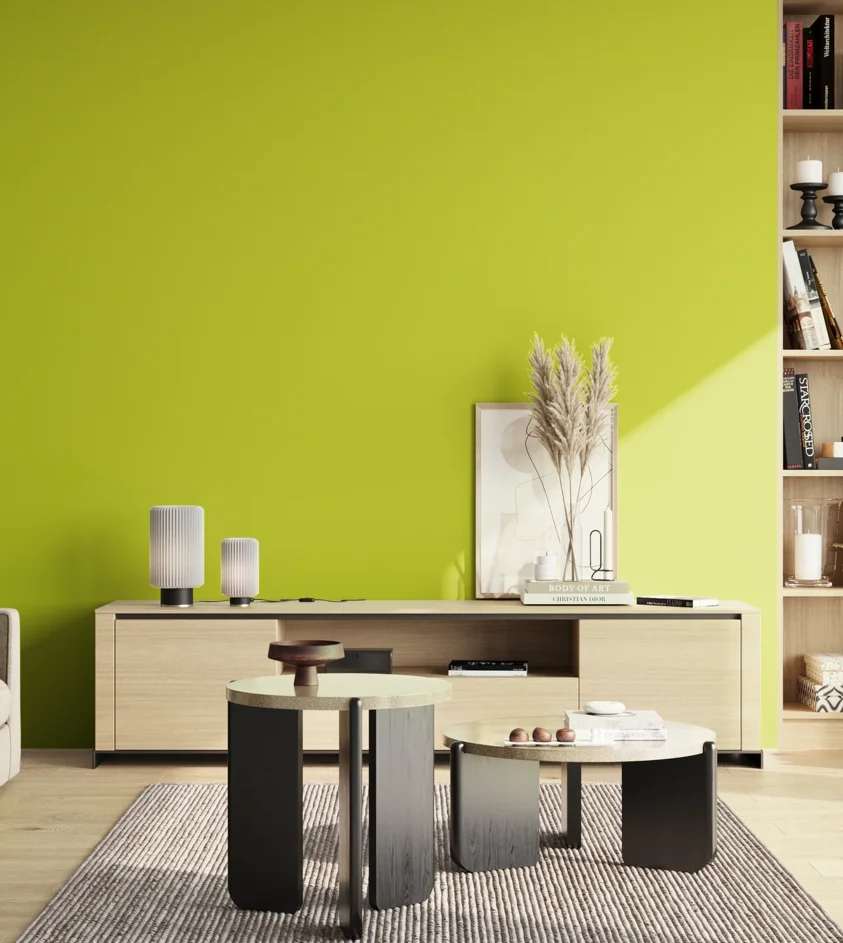 P10_SNIEZKA_salon_02_poludnie_GREY_S0575-G60Y