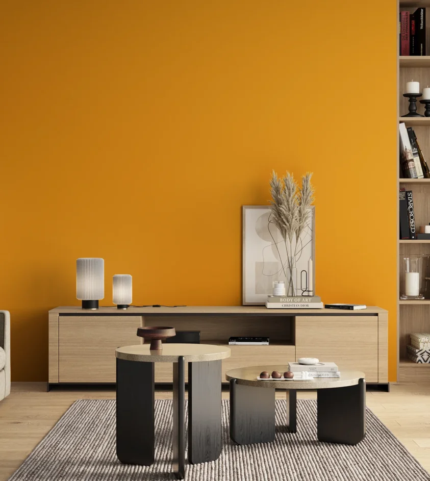 P10_SNIEZKA_salon_00_neutral_GREY_S0580-Y20R
