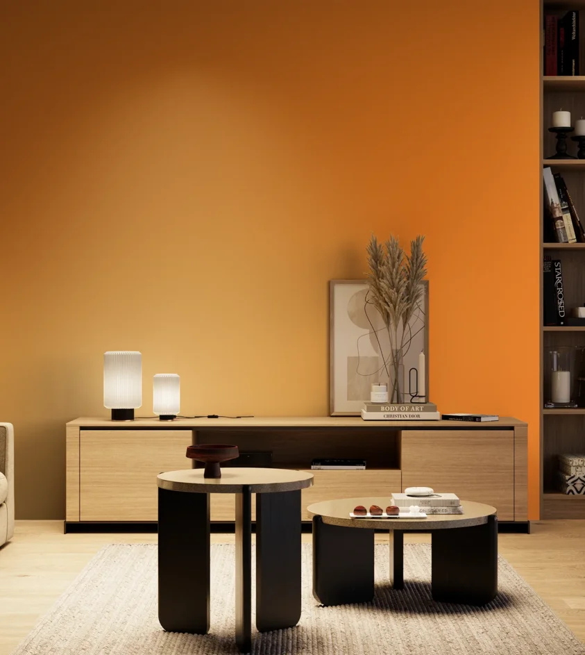 P10_SNIEZKA_salon_04_cieple_GREY_S0580-Y40R