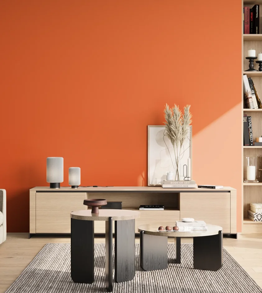 P10_SNIEZKA_salon_02_poludnie_GREY_S0580-Y60R