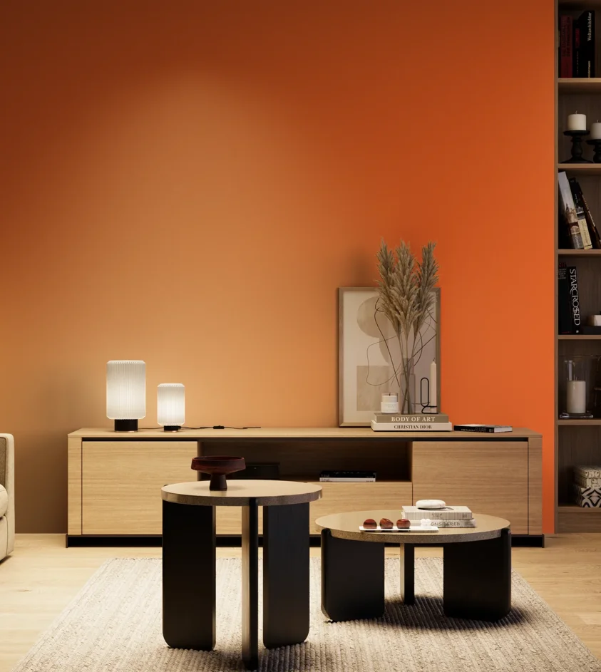 P10_SNIEZKA_salon_04_cieple_GREY_S0585-Y60R