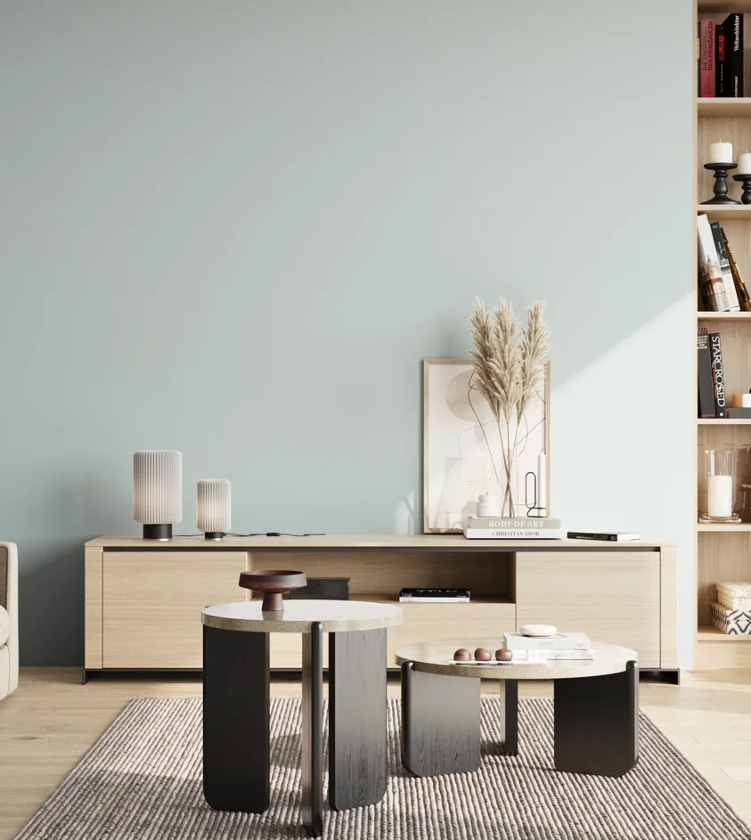 P10_SNIEZKA_salon_02_poludnie_GREY_S0907-B20G