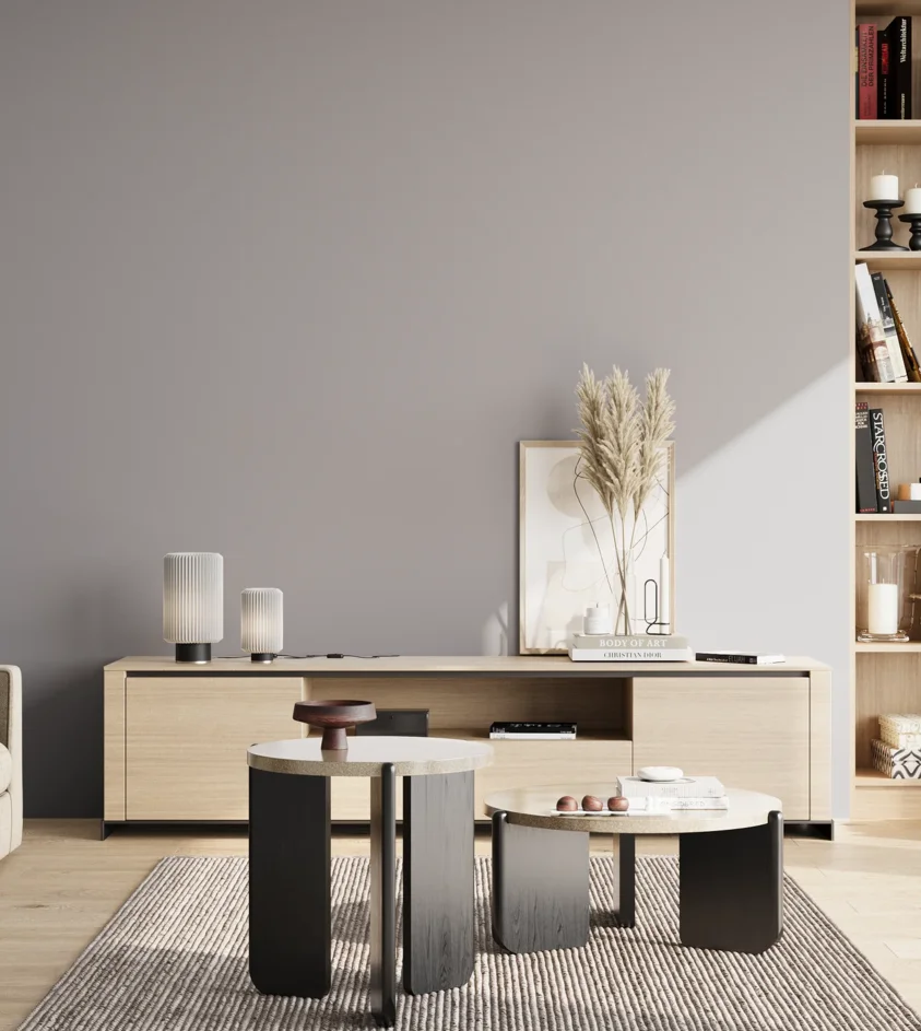 P10_SNIEZKA_salon_02_poludnie_GREY_C53