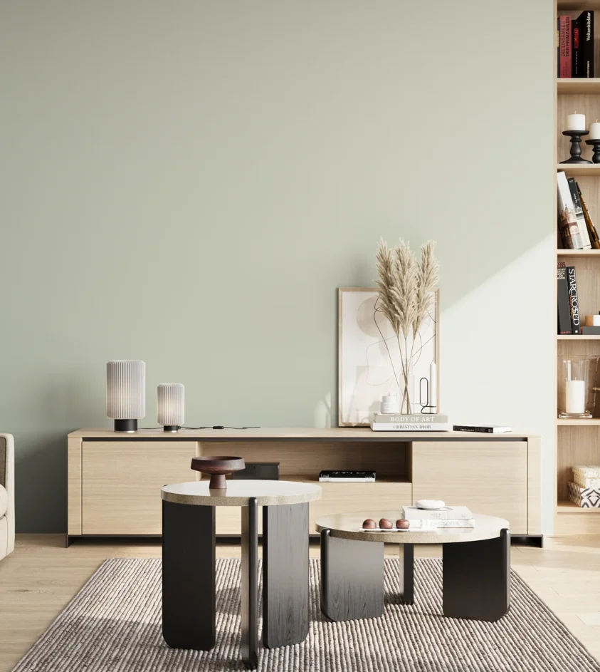 P10_SNIEZKA_salon_02_poludnie_GREY_S1005-G20Y