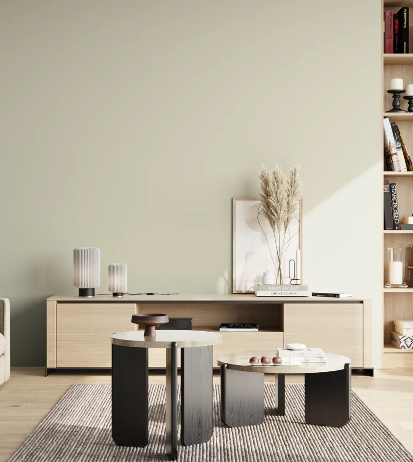 P10_SNIEZKA_salon_02_poludnie_GREY_S1005-G70Y