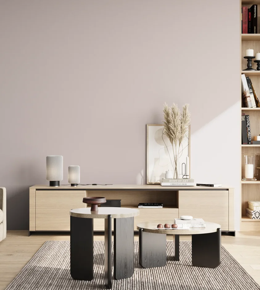 P10_SNIEZKA_salon_02_poludnie_GREY_S1005-R20B