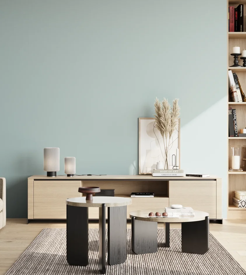 P10_SNIEZKA_salon_02_poludnie_GREY_S1010-B30G